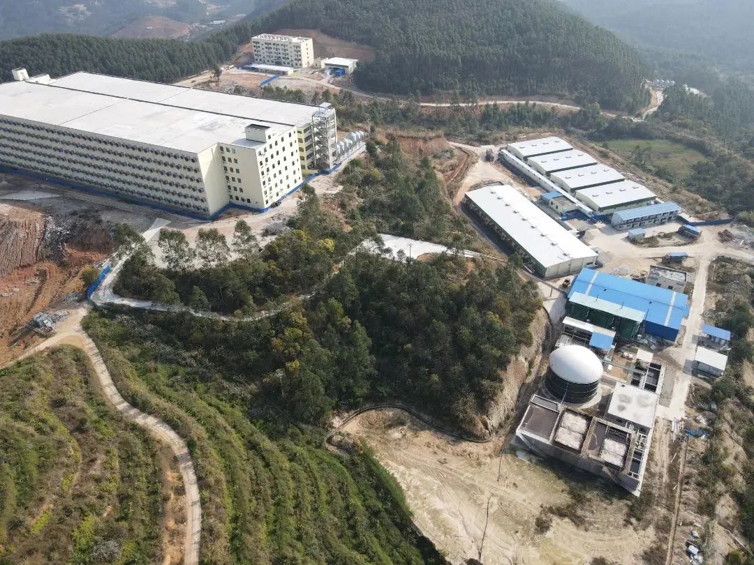 918搏天堂(中国区)官方网站