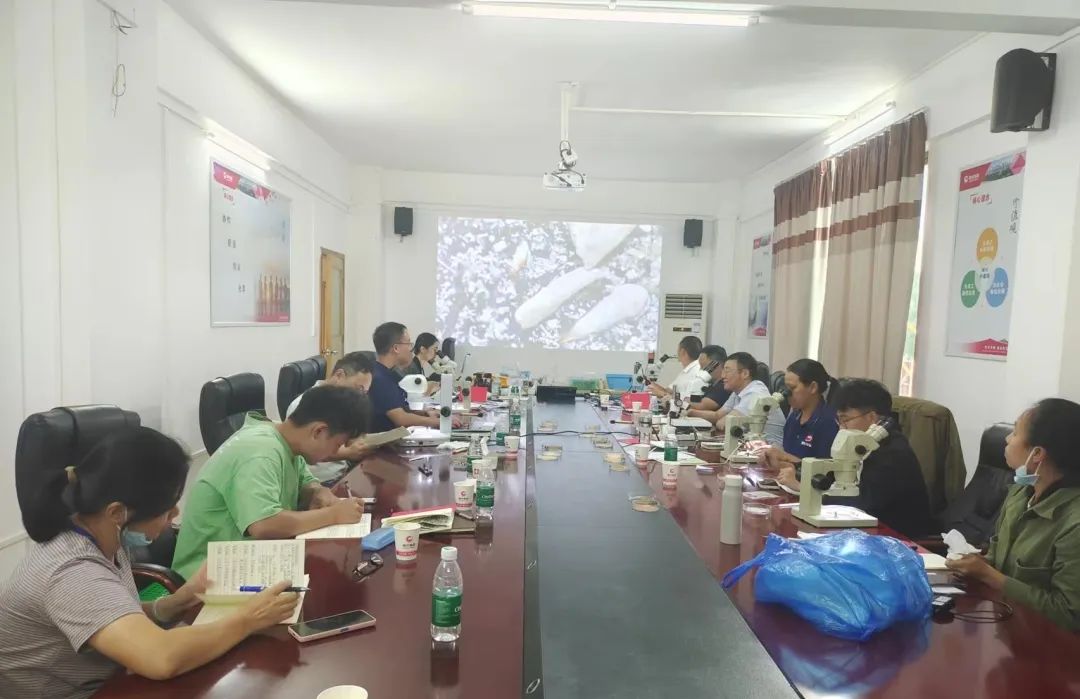 918搏天堂(中国区)官方网站