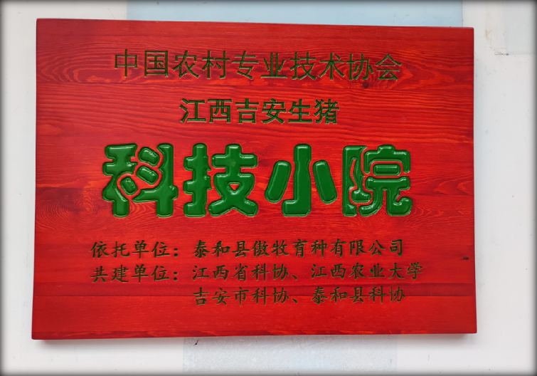 918搏天堂(中国区)官方网站