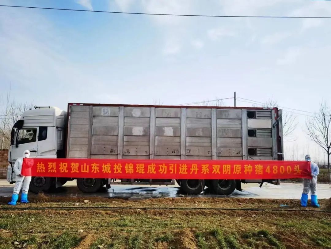 918搏天堂(中国区)官方网站
