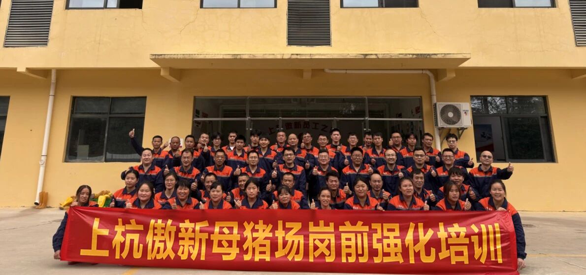 918搏天堂(中国区)官方网站